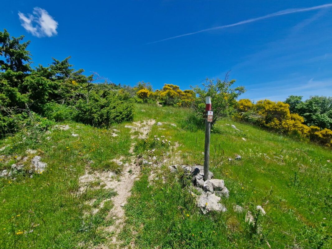 Cammino del Lago Turano - Tappa 4: Orvinio - Pozzaglia Sabina - Colle di Tora